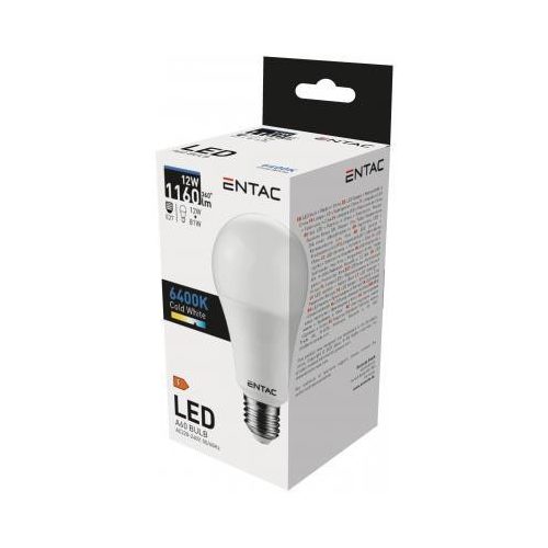 Entac LED Globe izzó E27 12W CW 6400K
